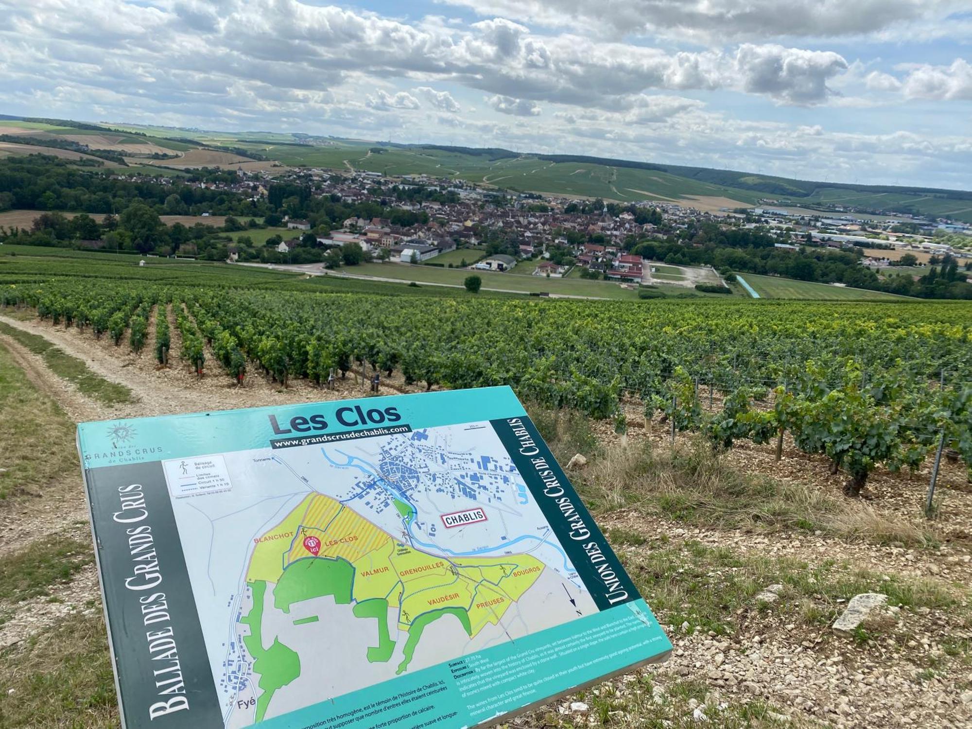 Le Merrain Gite Plein Coeur De Chablis Zewnętrze zdjęcie
